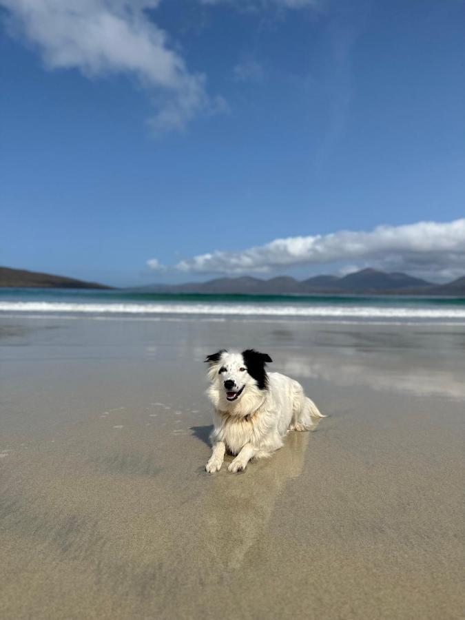 Kinnoull House Near Stornoway Hot-Tub Sauna Pet Friendly Garrabost Екстер'єр фото